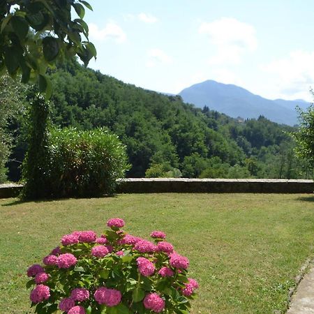 바르가 La Limonaia Di Casagrande 빌라 외부 사진